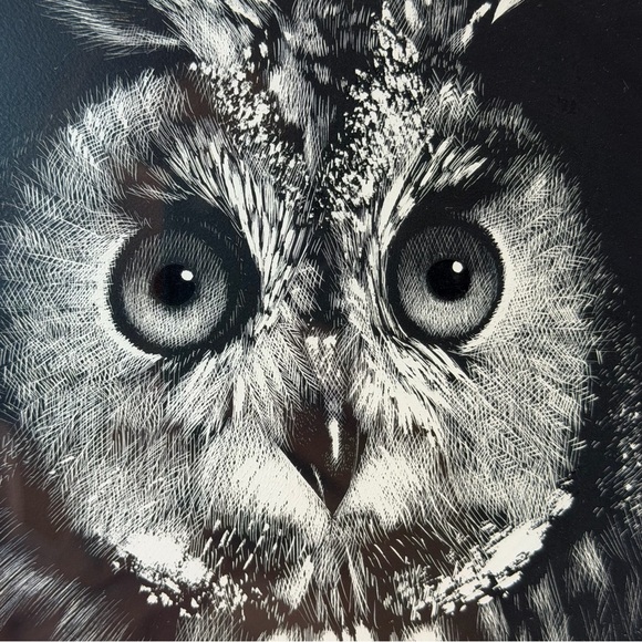 Vtg Raymond Charles Dell Owl Art Signed Framed Etching Scratchboard 13”x12” - Picture 1 of 12